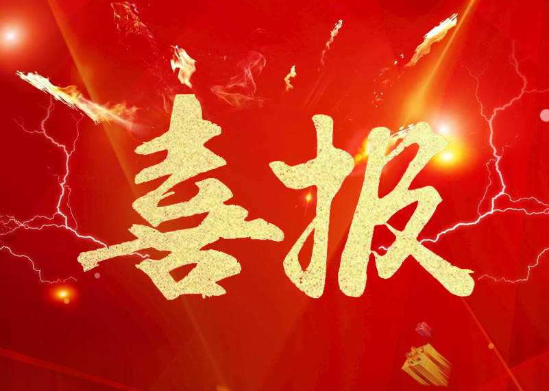 锐拓显示再获行业殊荣